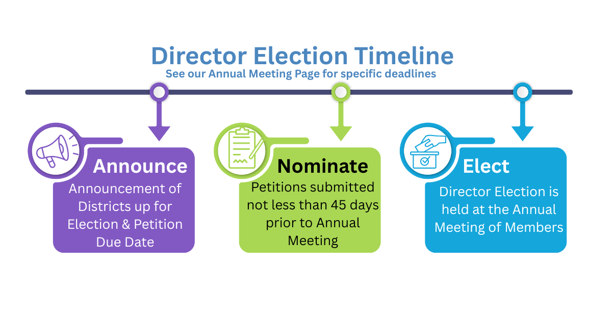 DirectorElectionTimeline