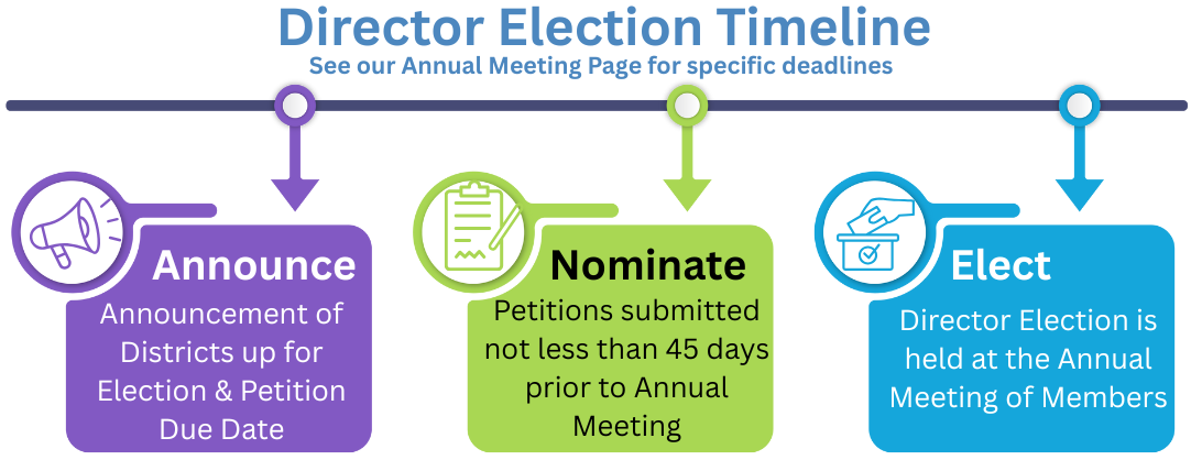 Timeline of Election Process